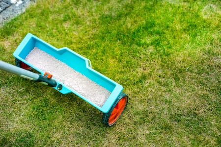 Lawn care technician applying fertilizer on a Fairfax, VA yard in early spring