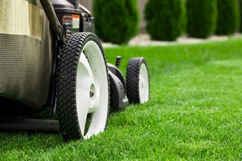 lawn care fairfax va